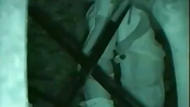 Ovo je najbolja brad ...
