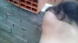 Latinski pilići zaba ...