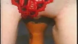 Vintage porno dvoje  ...