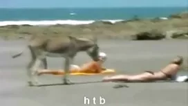 Julia voli jebati u  ...